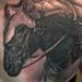 Shane's Horse Tattoo Design Thumbnail